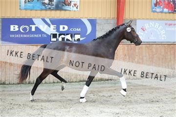 181868_mtp_01_R62_5088.JPG