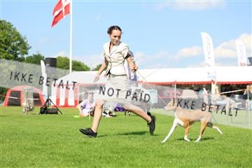 181564_rin_01_R62_0560.JPG