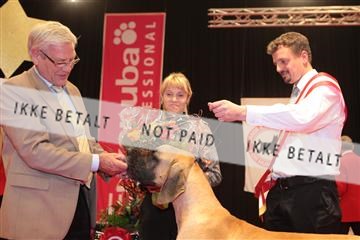 126827_tl_04_IMG_0232.JPG