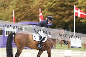 181923_mtp_03_R62_7550.JPG