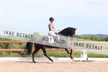 181449_bc_01R62_5900.JPG