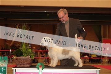 124188 _tl_02_IMG_9625.JPG