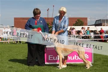 130370_se_03_IMG_7803.JPG