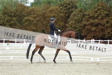 181923_mtp_04_R62_9137.JPG