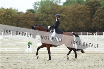 181923_mtp_03_R62_7799.JPG