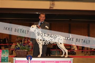 124188 _tl_02_IMG_9639.JPG