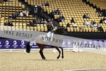 182194_kbb_03_Z090012.JPG