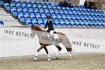 182241_kbb_01_Z094899.JPG