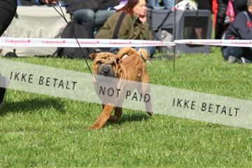 134871_ms_02_IMG_3636.JPG