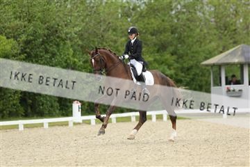 139835_sg_01_IMG_7764.JPG