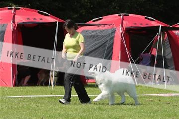 130370_tl_02_IMG_7831.JPG