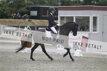 166078_rhj_01__J7R3949.JPG