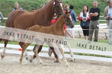 125406_sc_01_IMG_1426.jpg
