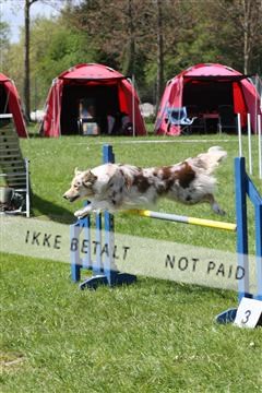 134871_ms_02_IMG_3078.JPG