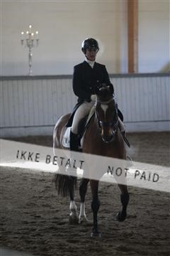 139267_kl_1_8M1Q6474.JPG