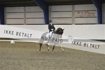 140040_abo_01__AB17871.JPG