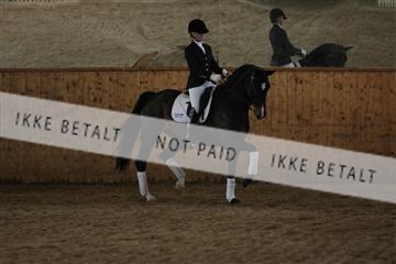 139206_kl_1_8M1Q5277.JPG