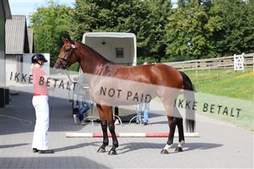 181804_mlm_01_R62_8086.JPG