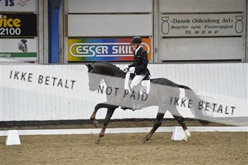 140040_abo_02__AB18587.JPG