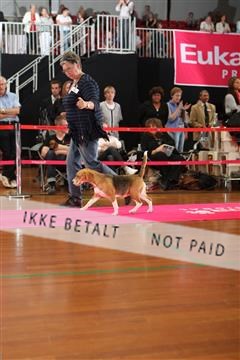 6068_ma_05_IMG_5473.JPG