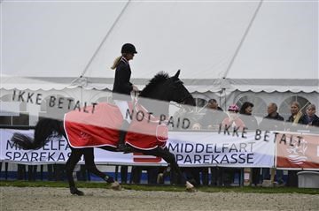 139644_abo_07__AB15739.JPG