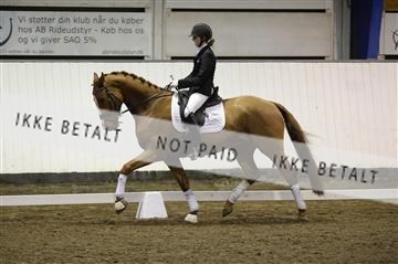 141472_abo_01__AB15119.JPG