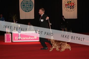 126827_tl_02_IMG_3147.JPG