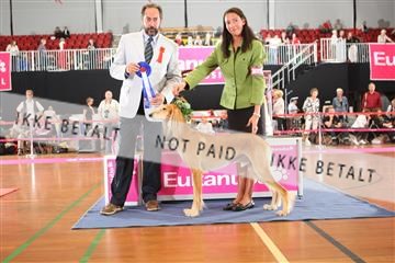 6068_ma_05_IMG_5728.JPG