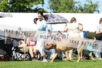 181564_rin_02_R62_3441.JPG