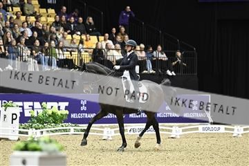 182194_kbb_03_Z092180.JPG