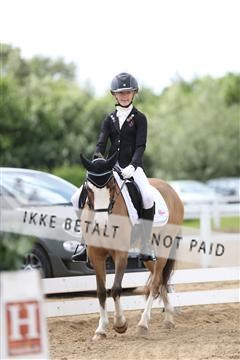 156196_nn_01_IMG_6139.JPG