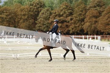 181923_mtp_03_R62_7237.JPG