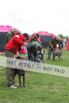 134871_ms_04_IMG_9973.JPG