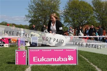 134871_ms_02_IMG_3696.JPG