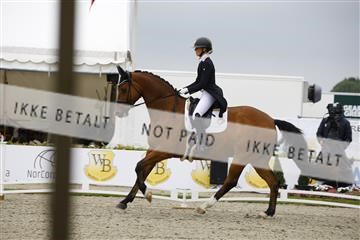 181449_jss_02__6II3483.JPG