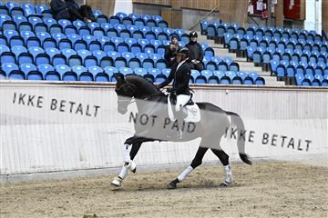 182241_kbb_01_Z094210.JPG