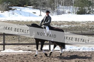 139267_kl_1_8M1Q6907.JPG