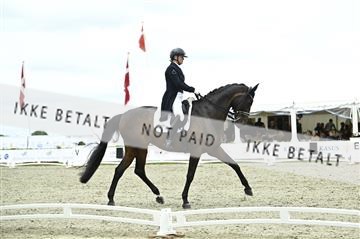 181449_kbb_03_Z092065.JPG