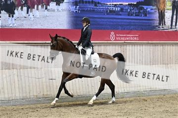 182241_kbb_01_Z093359.JPG