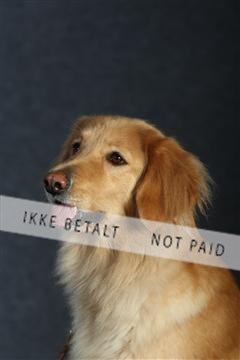 132082_le_ 01_IMG_0677.JPG