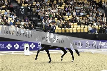 182194_kbb_03_Z092634.JPG