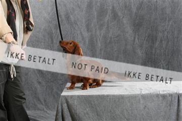 128239_le_ 05_0026.JPG