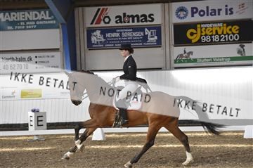 139422_bc_05__BC26228.JPG