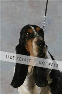 5493_sme _03__MG_9815.JPG