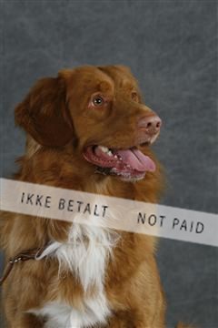 5493_sme _02__MG_9731.JPG