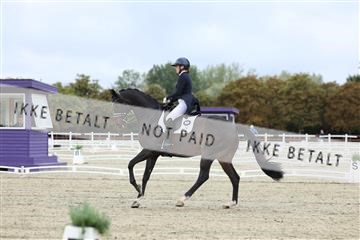 181923_mtp_04_R62_8597.JPG