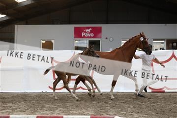181757_avh_03_8780.JPG