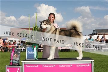 130370_se_03_IMG_7669.JPG