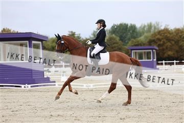181923_mtp_01_R62_6420.JPG