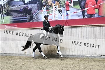 182241_kbb_01_Z094125.JPG